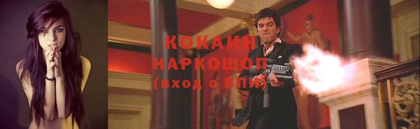 стаф Алзамай