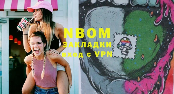 стаф Алзамай
