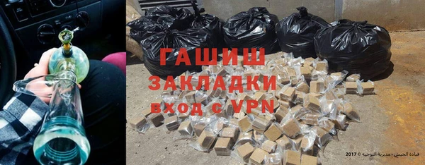 стаф Алзамай