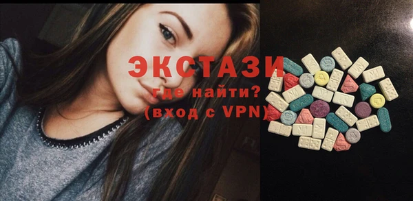 стаф Алзамай