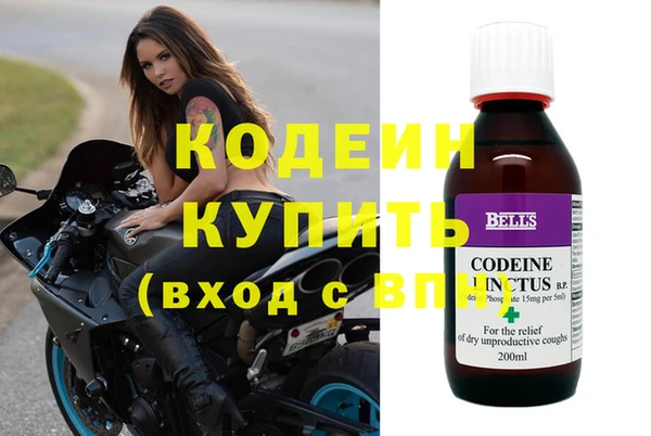 стаф Алзамай