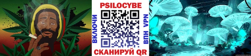 omg сайт  Гвардейск  Галлюциногенные грибы Magic Shrooms 